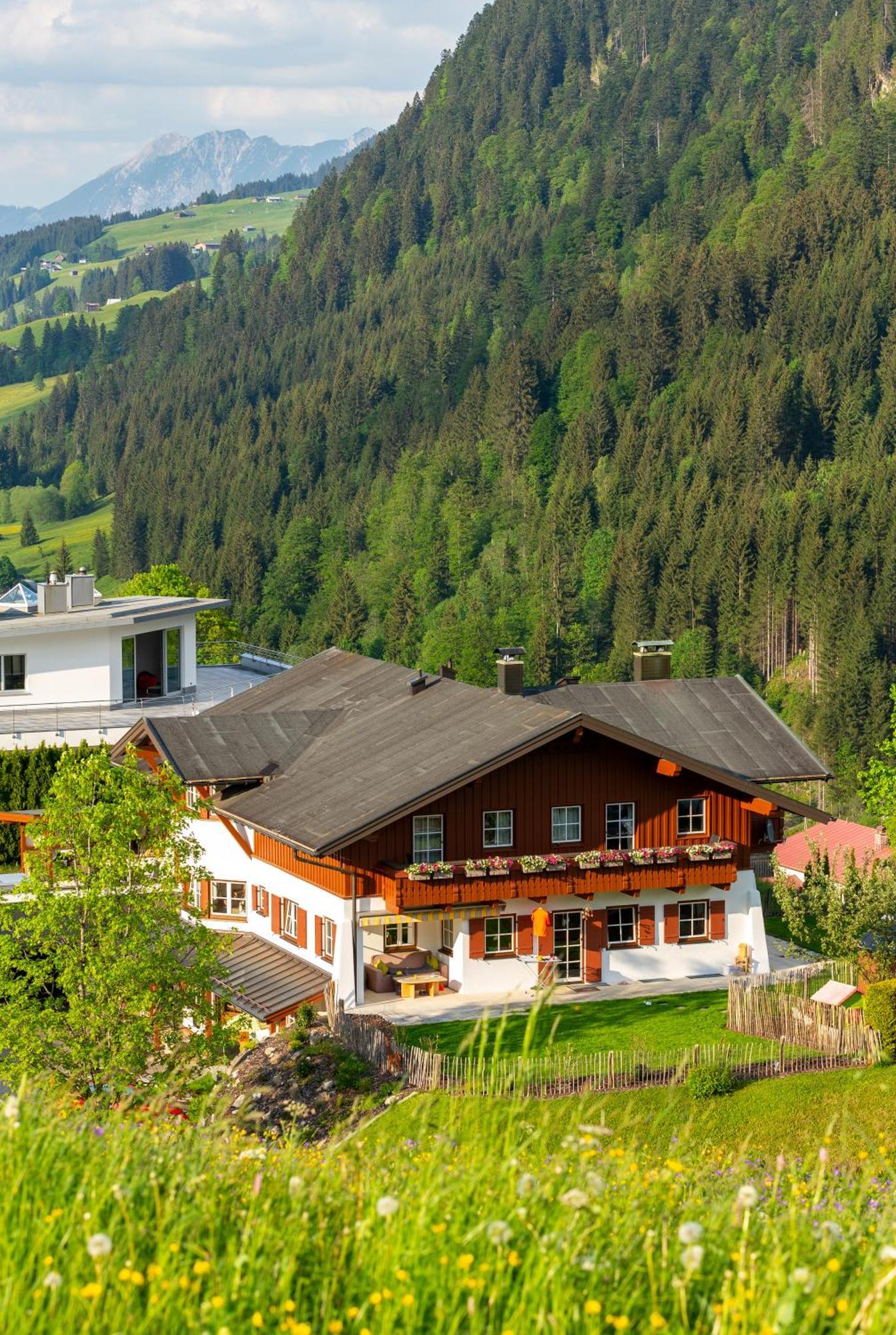 Hirschegg Haus Berg & Tal公寓 外观 照片